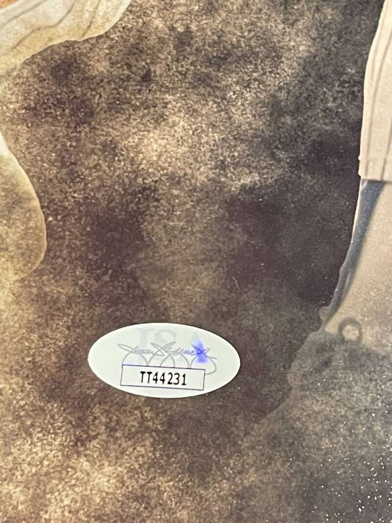 Dwight Doc Gooden & Darryl Strawberry Signed 16x20 Photo Comp JSA COA Mets2