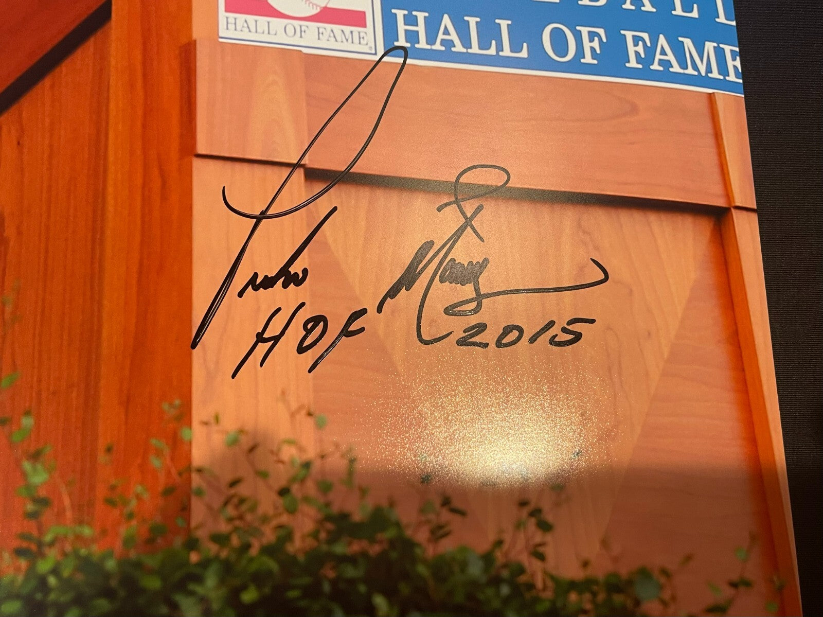 Pedro Martinez Signed Auto Boston Red Sox 16x20 Photo "HOF 2015" JSA WIT COA1