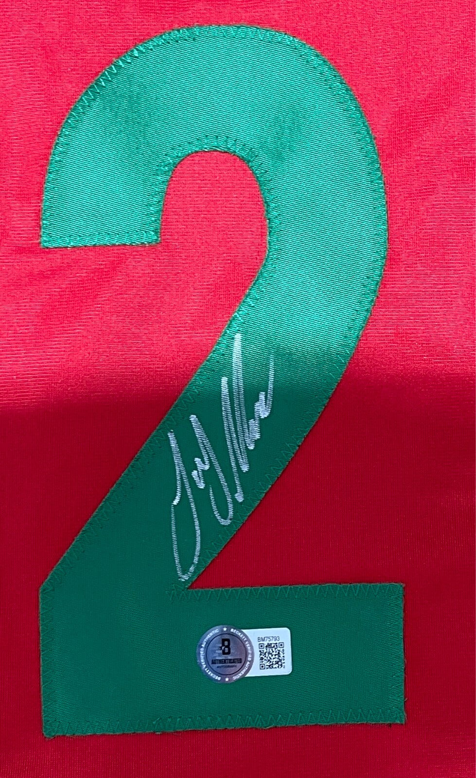 Joey Meneses Signed Autographed WBC Mexico Custom Jersey Beckett BAS COA1