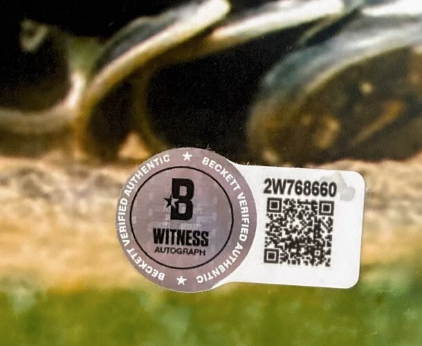 Moises Alou Signed Chicago Cubs 16x20 Photo Beckett Witness BAS COA #1 Bat Flip2