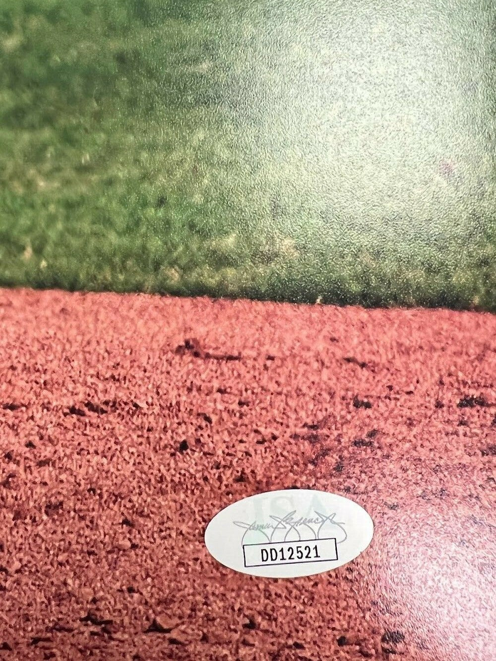 Alex Reyes Signed Autographed 16x20 Photo JSA COA St. Louis Cardinals C2