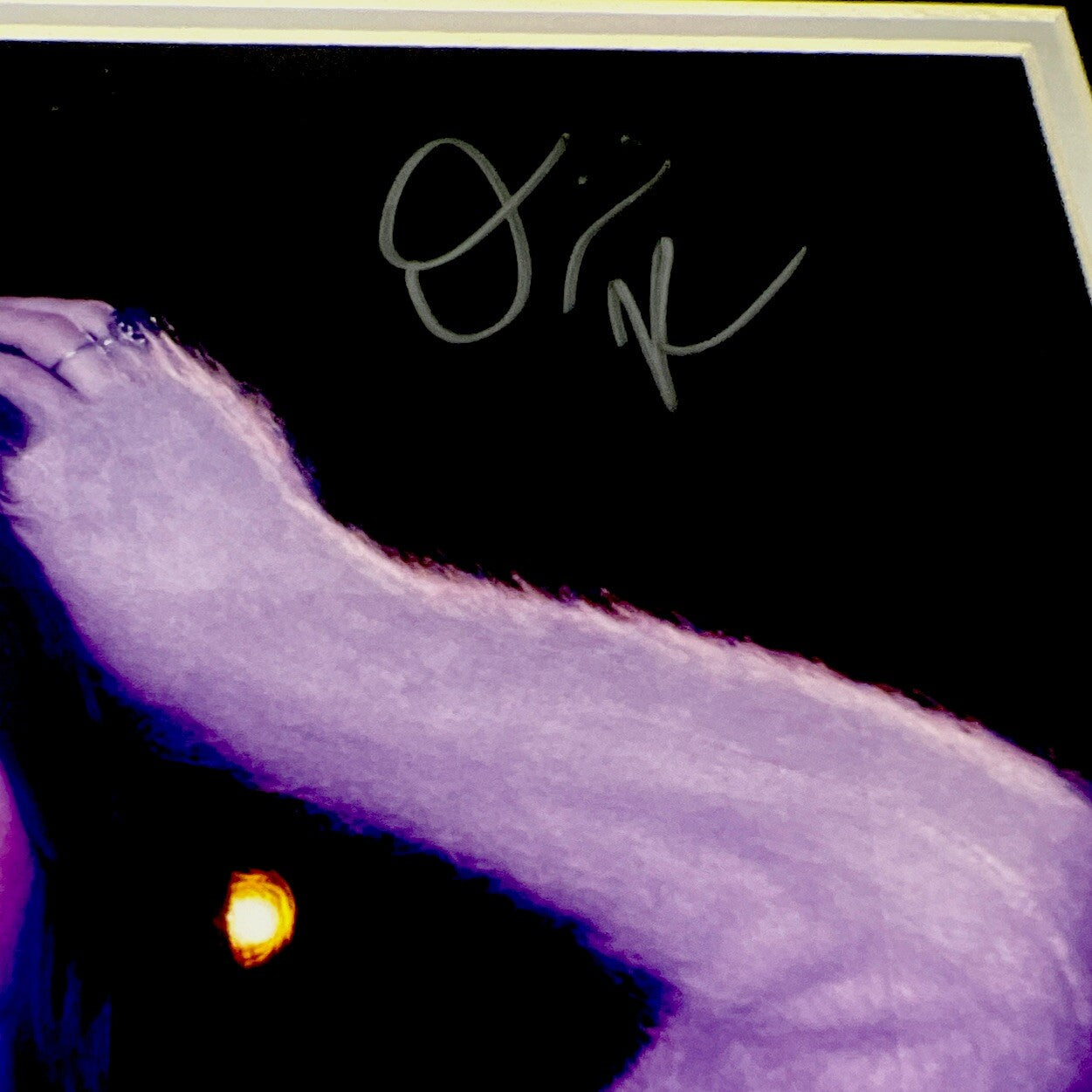 Olivia Rodrigo Signed 11x14 Framed Photo JSA COA Hot Pop Music Star Guts1