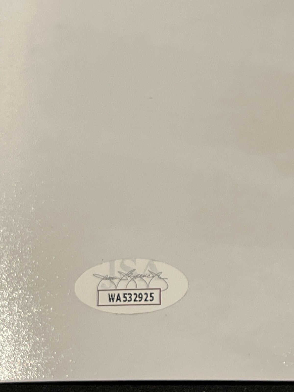 Alexei Kovalev Signed Autographed NY Rangers 16x20 Photo 1994 Cup JSA COA2