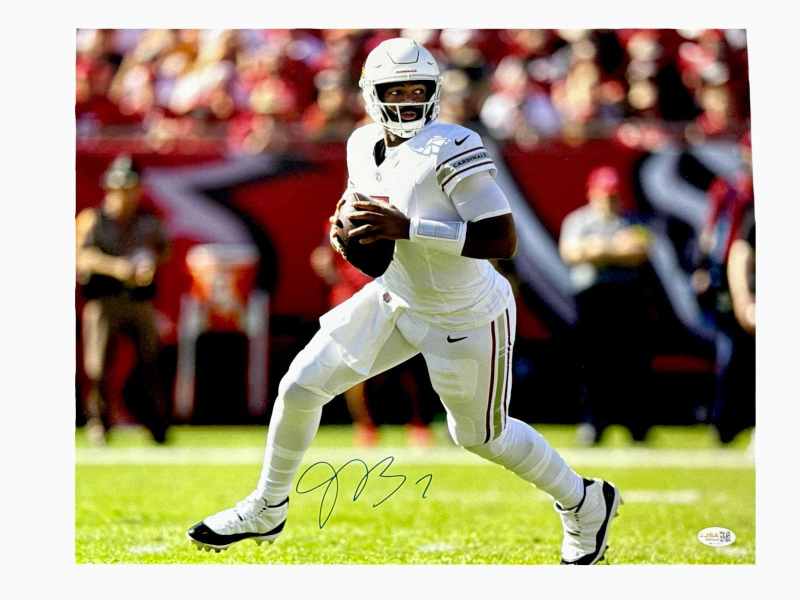 Jacoby Brissett Signed Autographed Arizona Cardinals 16x20 Photo JSA Witness COA0