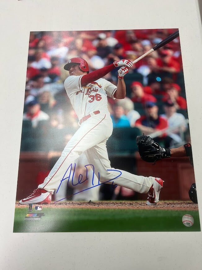 Aledmys Diaz Signed Autographed 16x20 Photo LSCM COA HOLO Cardinals PF0