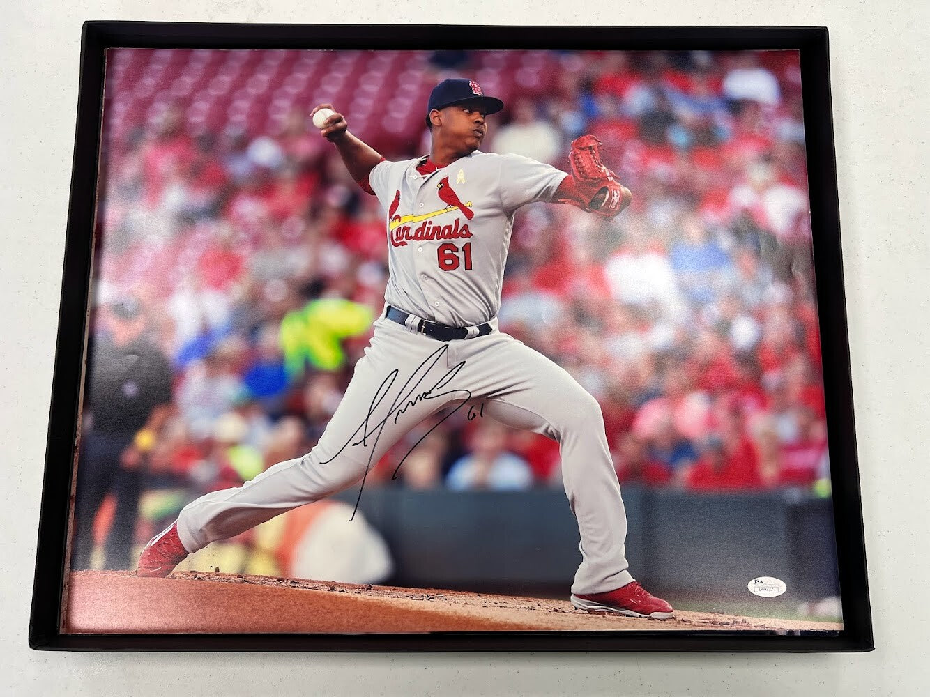 Alex Reyes Signed Autographed 16x20 Photo JSA COA St. Louis Cardinals B0