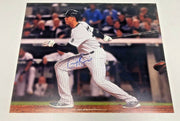 Greg Bird Signed Auto Autographed 16x20 Photo LSCM COA HOLO NY Yankees Rockies B0