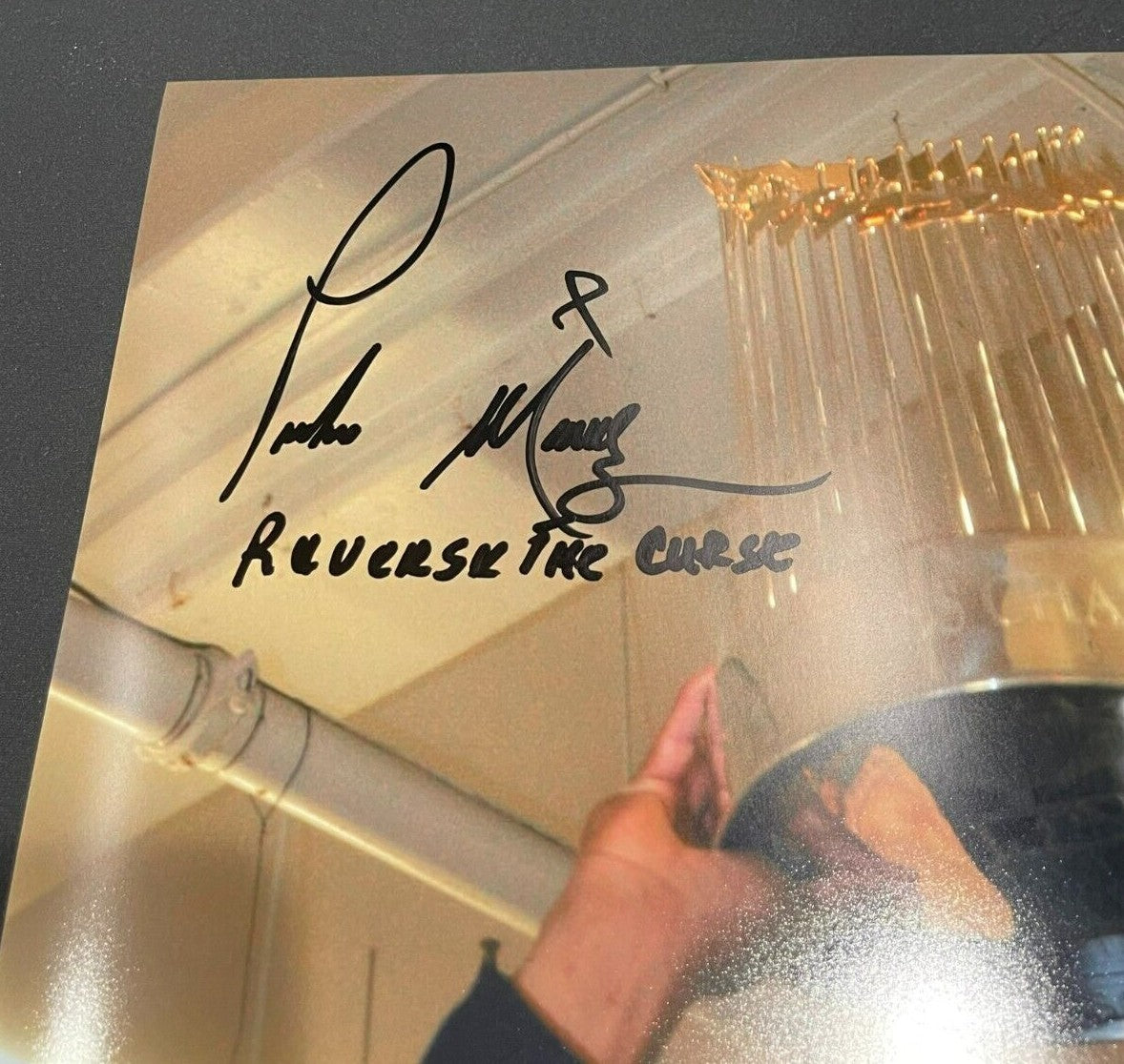 Pedro Martinez Signed Auto Boston Red Sox 16x20 Photo Reverse the Curse JSA COA1