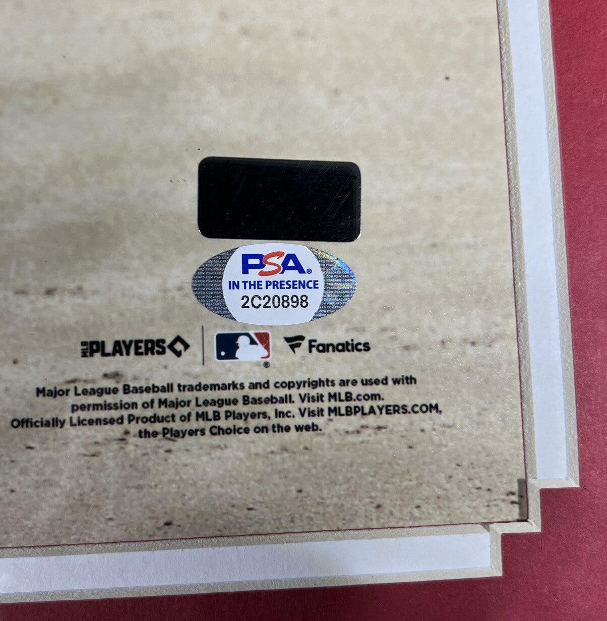 Jonathan India Signed Framed 8x10 Photo 1st HR Cincinnati Reds PSA ITP COA2