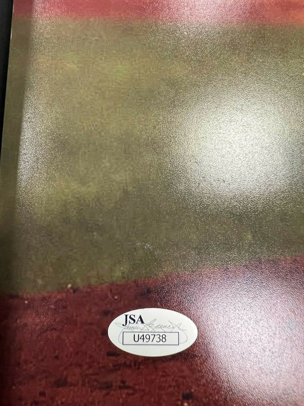 Alex Reyes Signed Autographed 16x20 Photo JSA COA St. Louis Cardinals A2