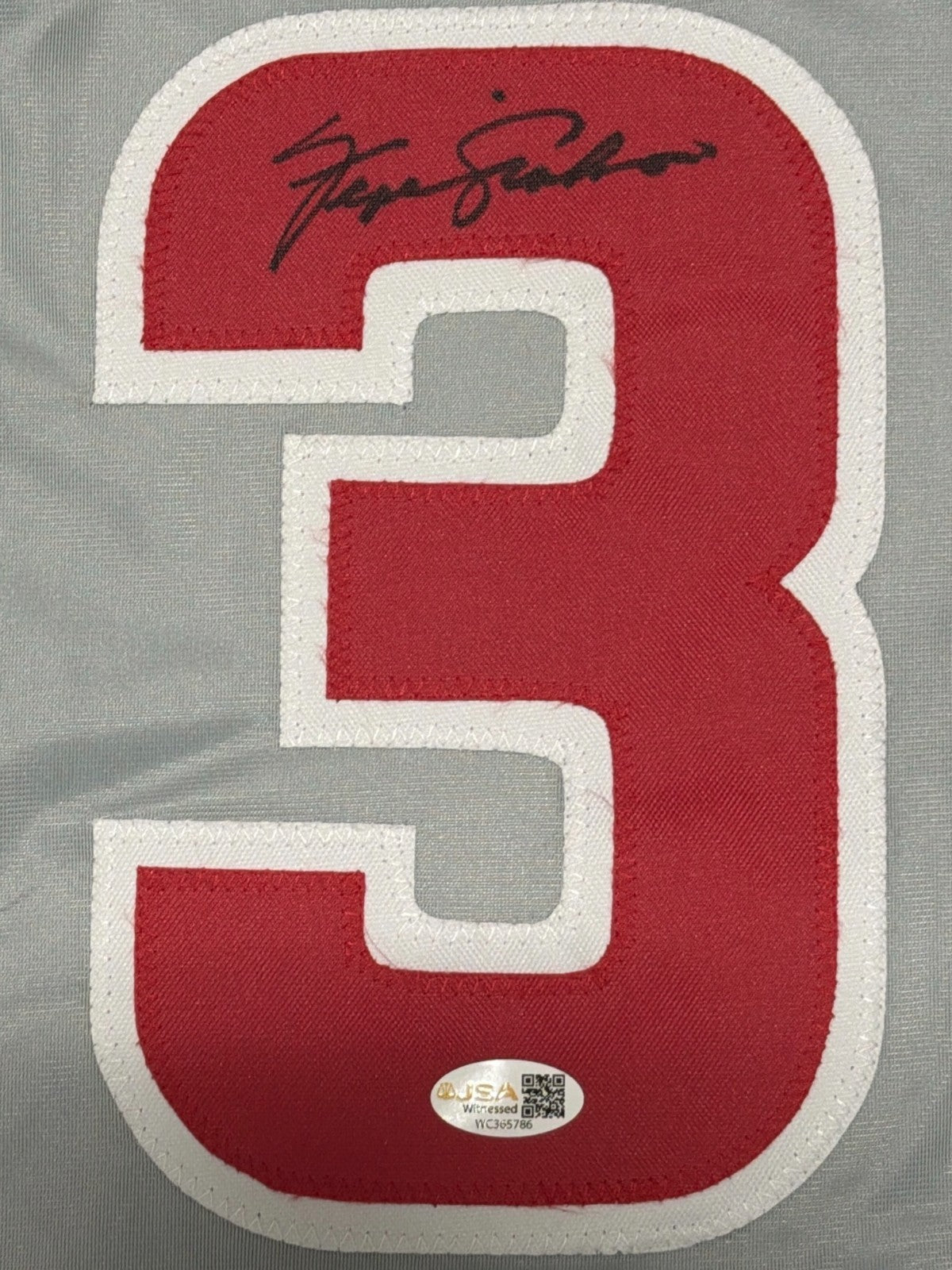 Fergie Jenkins Signed Autographed Chicago Cubs Custom Jersey JSA Witness COA1