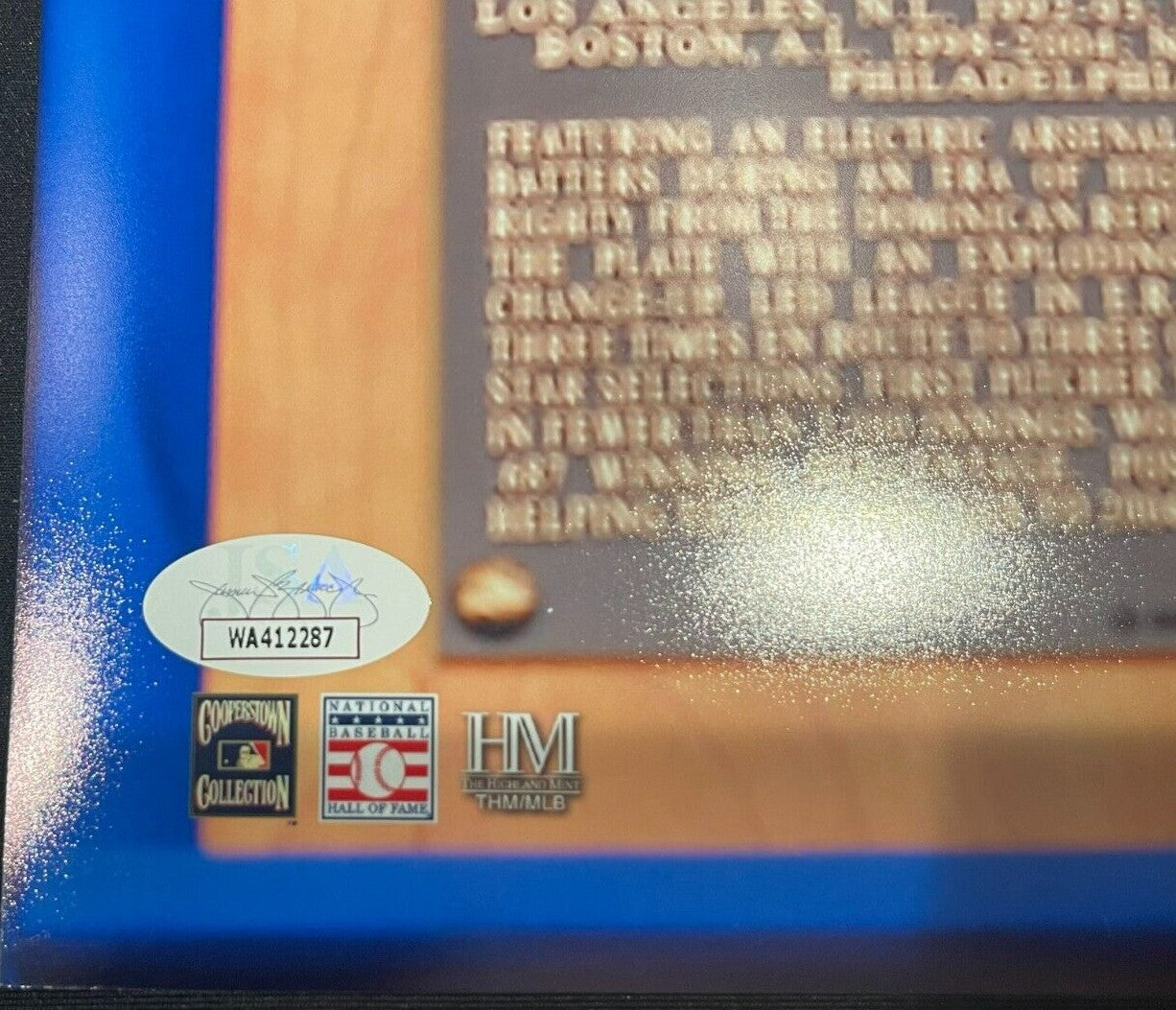 Pedro Martinez Signed Auto Boston Red Sox 16x20 Photo "HOF 2015" JSA WIT COA2