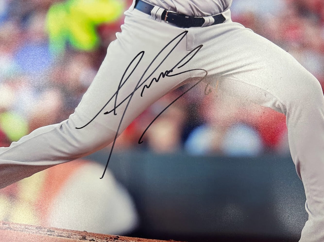 Alex Reyes Signed Autographed 16x20 Photo JSA COA St. Louis Cardinals B1